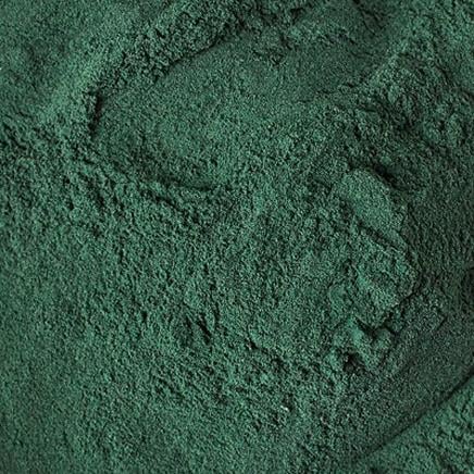 Chlorella Chlorella