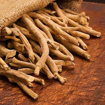 ashwagandha Ashwagandha