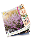 Catalogue