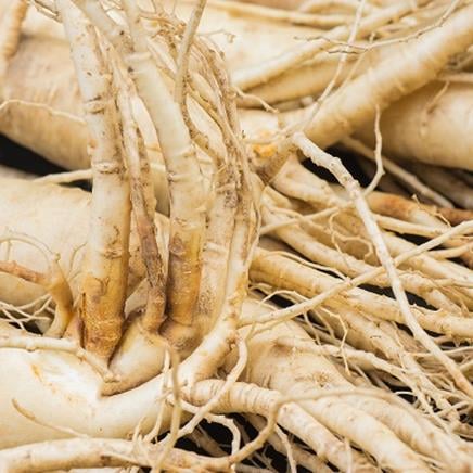 Ginseng Ginseng