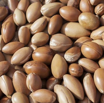 argan Argan